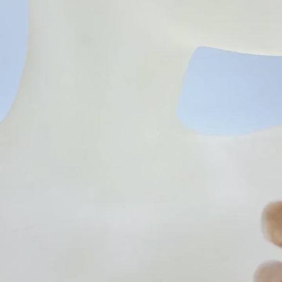 Nk Golden and Jet Drop Earrings