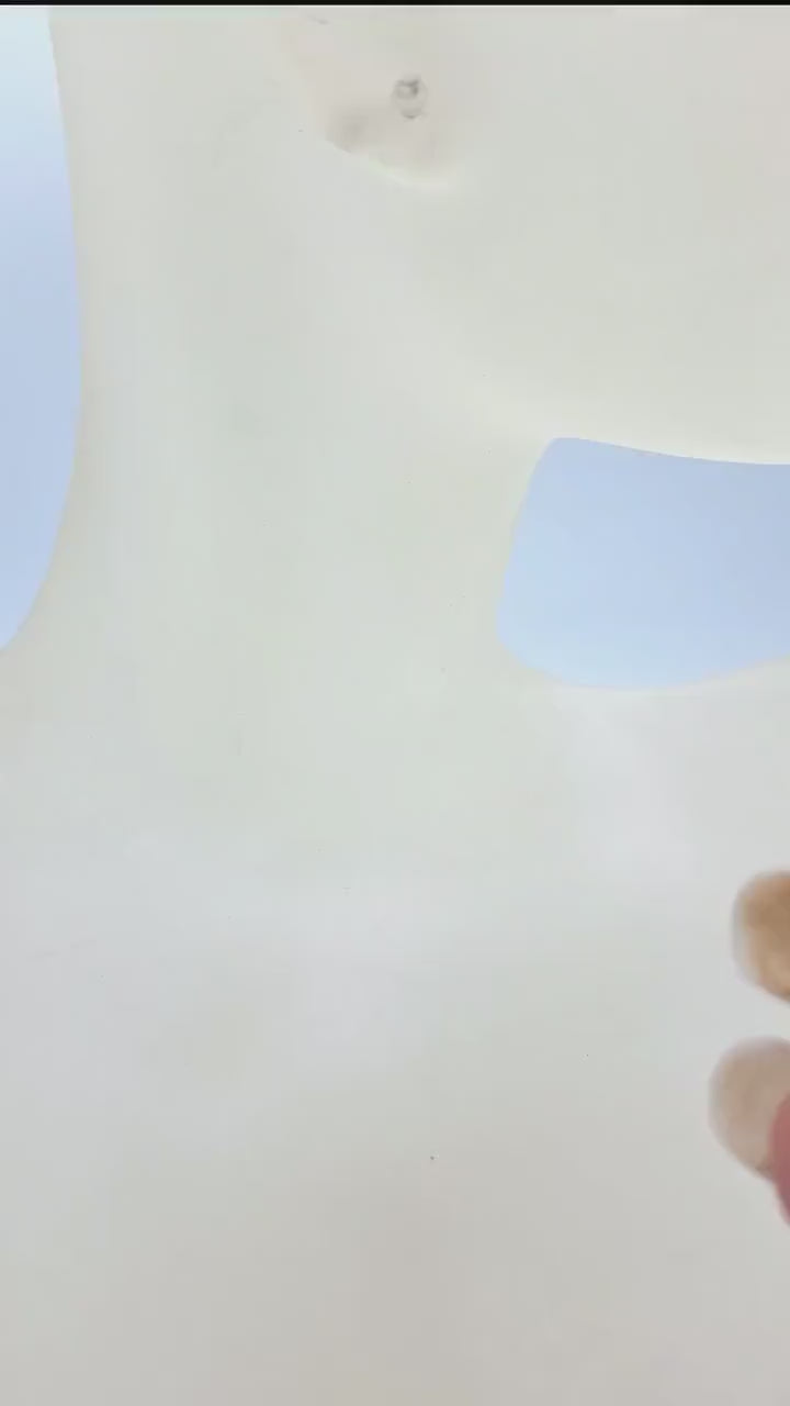 Nk Golden and Jet Drop Earrings