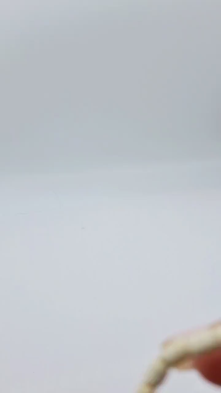 Nk Creme colored plated Hematite hoop earrings with a faceted Agate drop